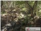 91 Commong Lane, Yessabah NSW 2440