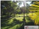 493 Gowings Hill Road, Dondingalong NSW 2440