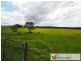 8A Campbell Place, Aldavilla NSW 2440