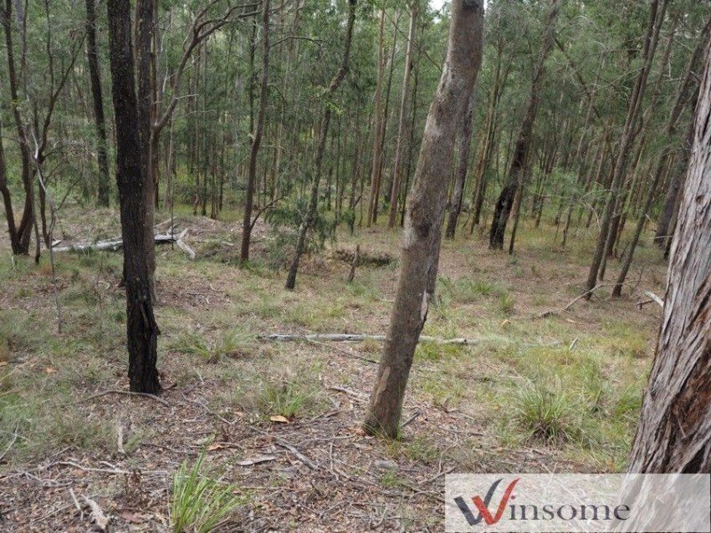 14 Earth First Road, Mungay Creek NSW 2440