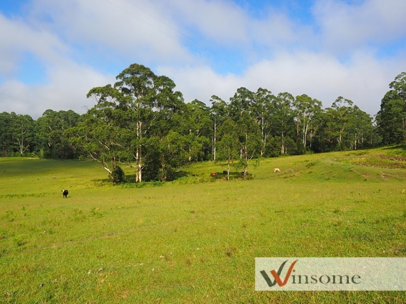 1186 Pipers Creek Road, Dondingalong NSW 2440