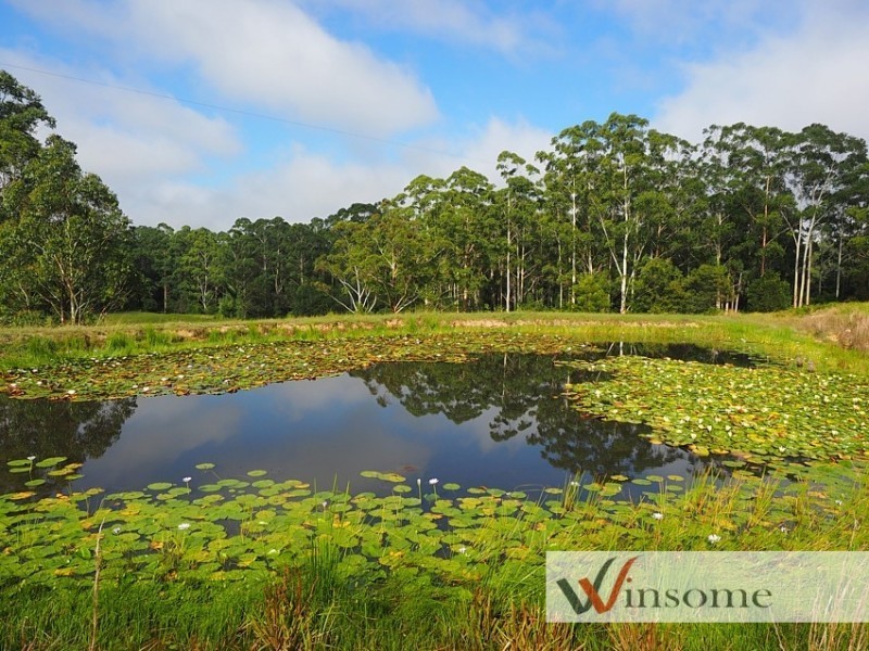 1186 Pipers Creek Road, Dondingalong NSW 2440