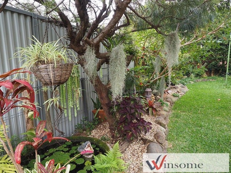 23 Hodgson Street, Crescent Head NSW 2440