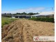 Lot 12 James Grimwade Place, East Kempsey NSW 2440
