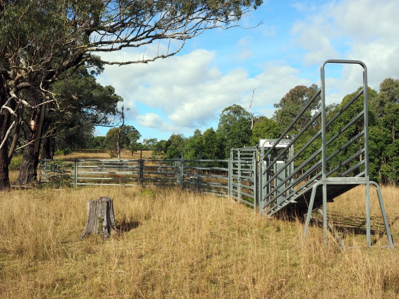 1649 Willi Willi Road, Temagog NSW 2440