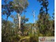 Lot 1 Beranghi Road, Crescent Head NSW 2440