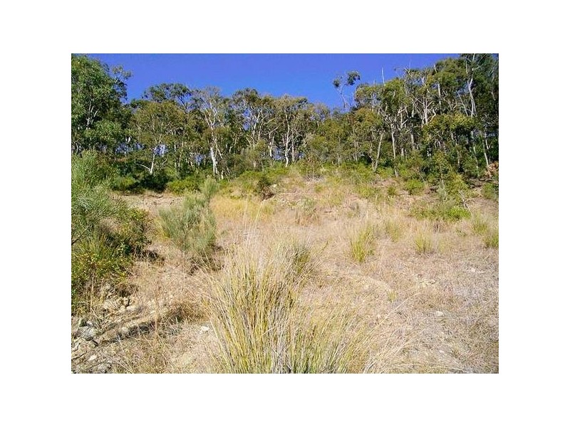 20 Marlin Circuit, Hat Head NSW 2440