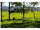 Kempsey NSW 2440