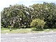12 Pacific Street, Crescent Head NSW 2440