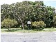 12 Pacific Street, Crescent Head NSW 2440