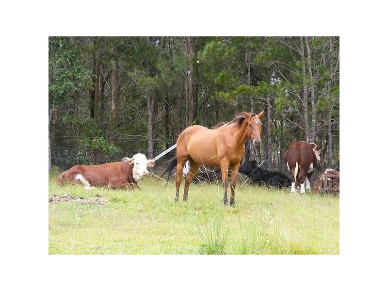 Kempsey NSW 2440