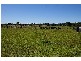 Kempsey NSW 2440