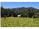 Kempsey NSW 2440