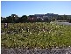 24 Fourth Avenue, Stuarts Point NSW 2441