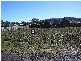24 Fourth Avenue, Stuarts Point NSW 2441