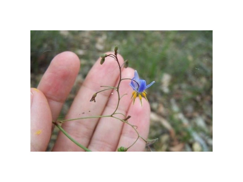 48 Iron Bark Crescent, Yarravel via, Kempsey NSW 2440