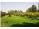2245 Pacific Highway, Kempsey NSW 2440