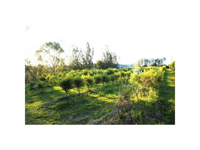 Clybucca NSW 2440