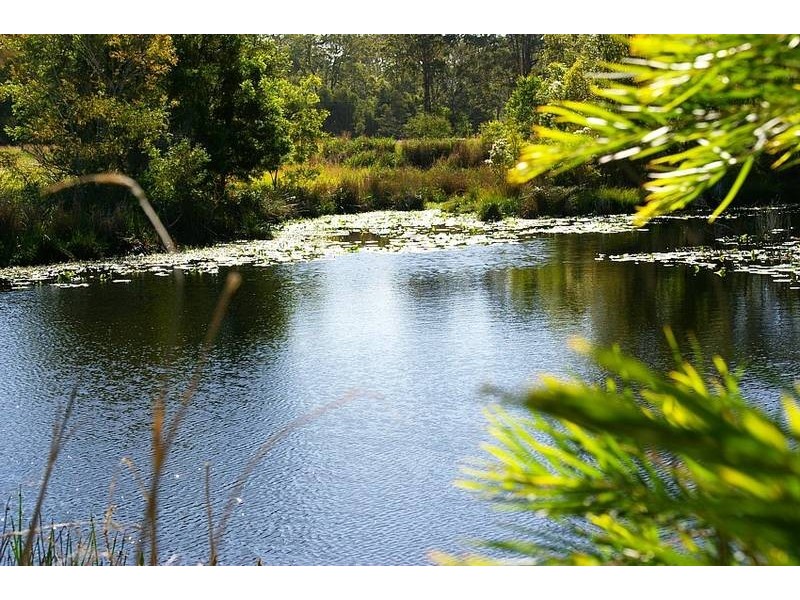 106 Ravenswood Road, Kempsey NSW 2440