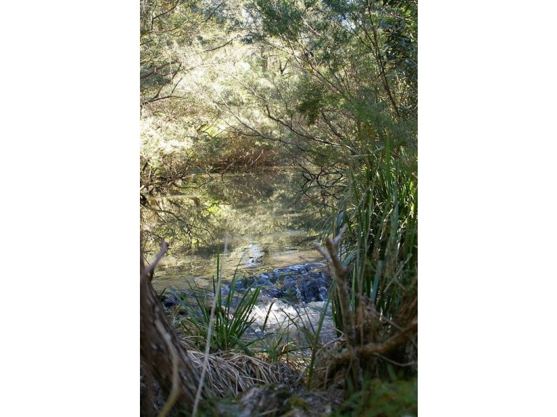 Lot 8 Eight Mile Creek, Wittitrin via, Kempsey NSW 2440