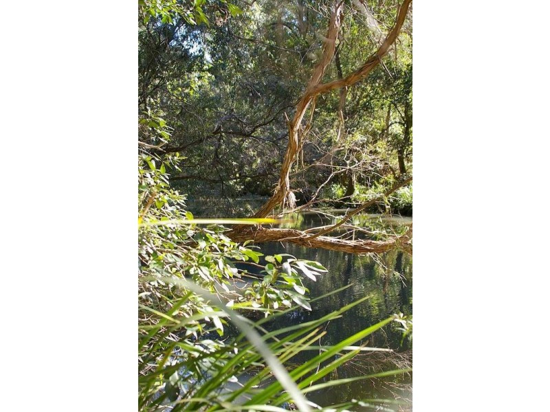 Lot 8 Eight Mile Creek, Wittitrin via, Kempsey NSW 2440