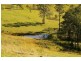 Lot 8 Eight Mile Creek, Wittitrin via, Kempsey NSW 2440