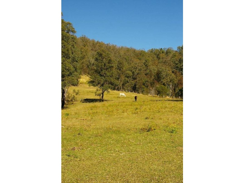 Lot 8 Eight Mile Creek, Wittitrin via, Kempsey NSW 2440