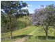 1429 Hickeys Creek Road, Millbank via, Kempsey NSW 2440