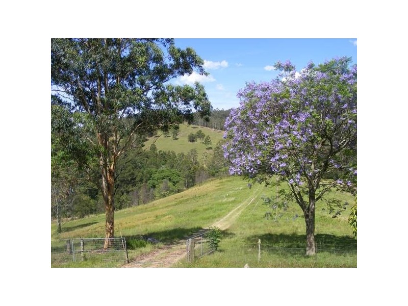 1429 Hickeys Creek Road, Millbank via, Kempsey NSW 2440