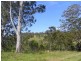 1429 Hickeys Creek Road, Millbank via, Kempsey NSW 2440