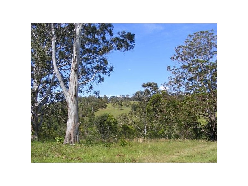 1429 Hickeys Creek Road, Millbank via, Kempsey NSW 2440