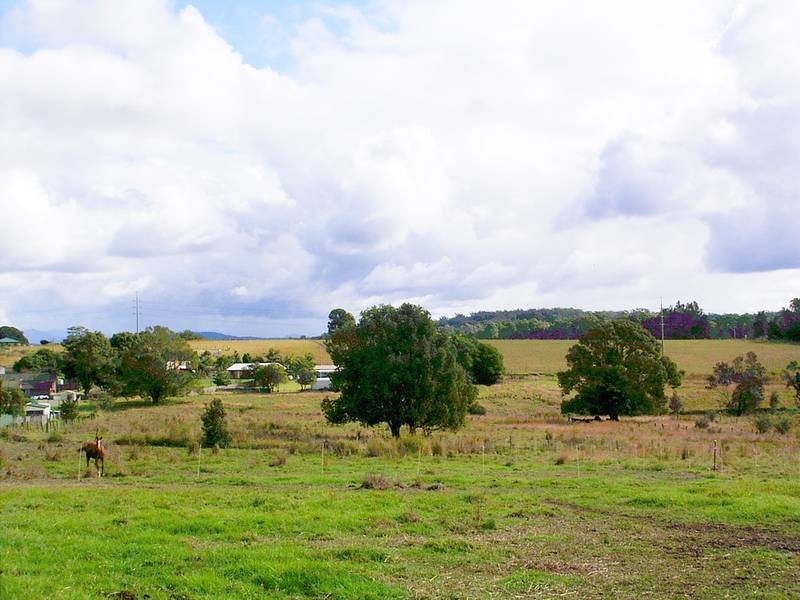 112 Edgar Street, Frederickton NSW 2440