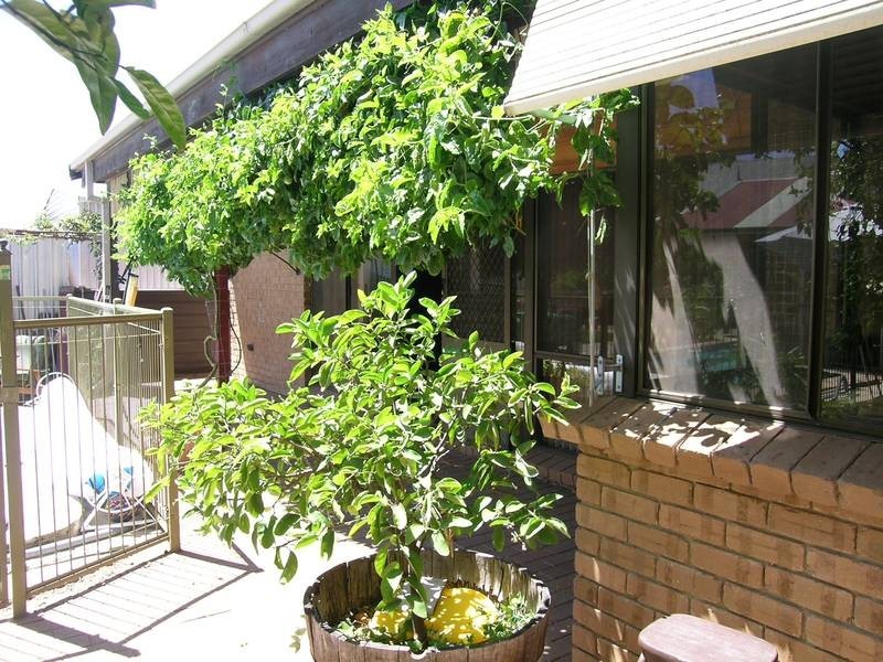 145 Lipsett Terrace, Brooklyn Park SA 5032