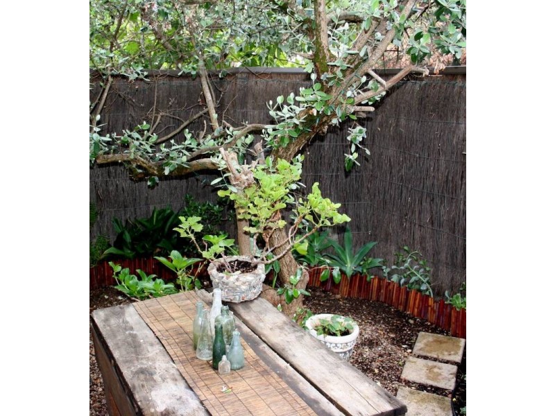 3/71 Farnham Road (faces Herbert Street), Ashford SA 5035