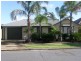 31 Whelan Ave, Camden Park SA 5038