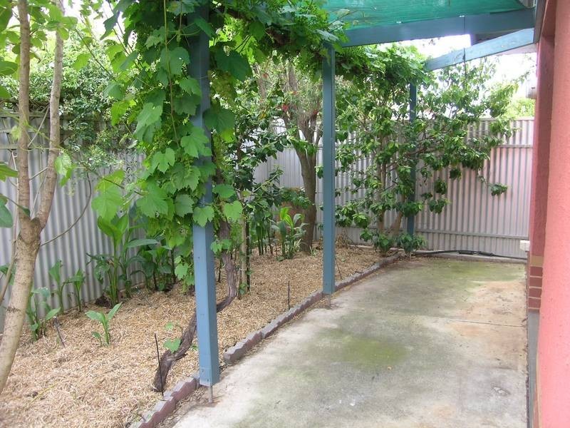 8 Fisher Place, Mile End SA 5031