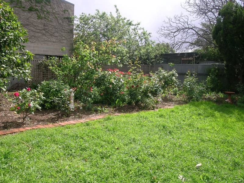 3 Ruddock Avenue, Hilton SA 5033