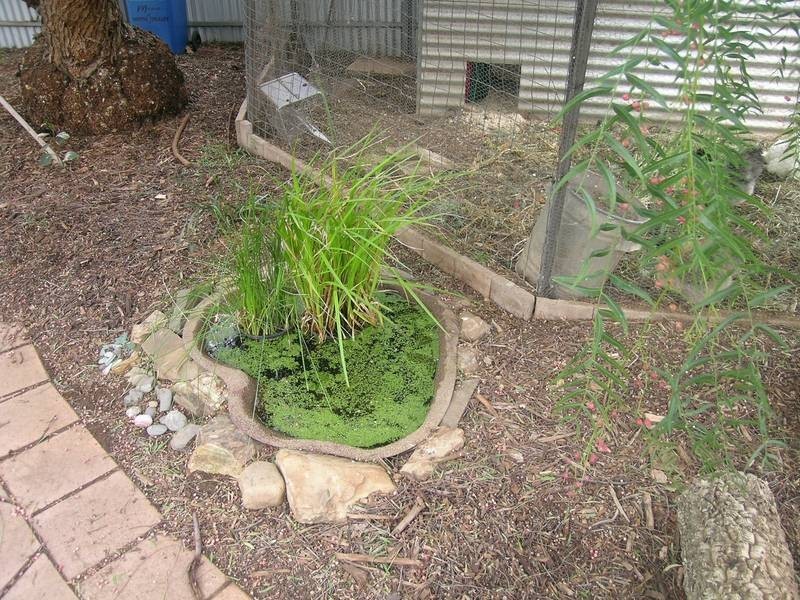 41a Kintore Street, Mile End SA 5031