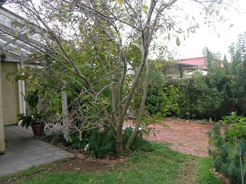 16 Torrens Street, Torrensville SA 5031