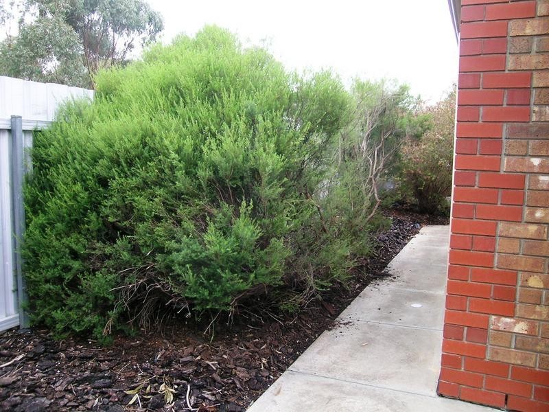 5/113 Barcelona Drive, Noarlunga Downs SA 5168