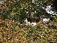 430 Magill Road, Kensington Gardens SA 5068