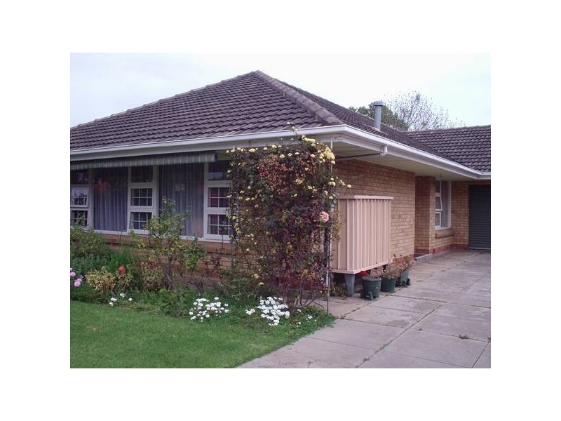 11 Pine Avenue, Glenelg North SA 5045