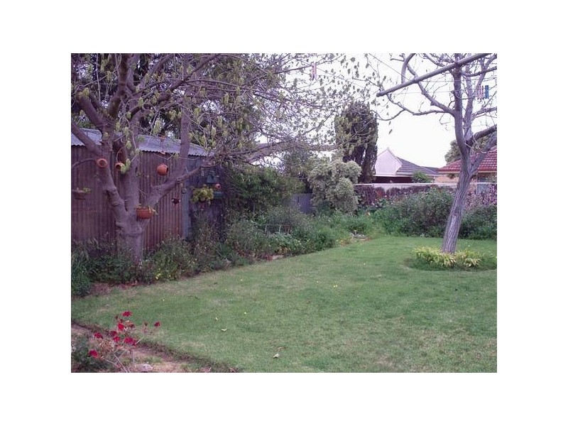 11 Pine Avenue, Glenelg North SA 5045