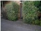 7/1 Garfield Avenue, Kurralta Park SA 5037
