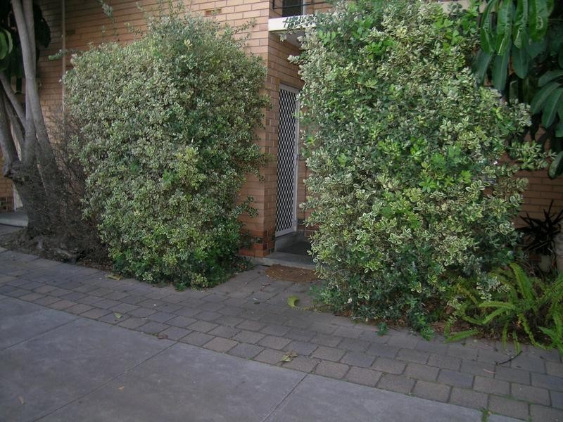 7/1 Garfield Avenue, Kurralta Park SA 5037