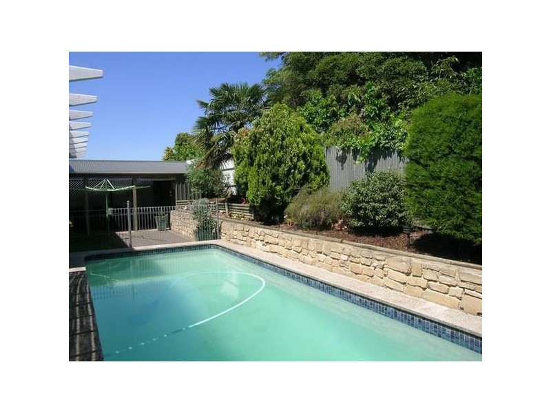 37 Lancaster Street, Lockleys SA 5032
