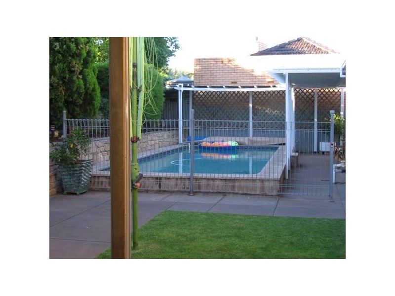 37 Lancaster Street, Lockleys SA 5032