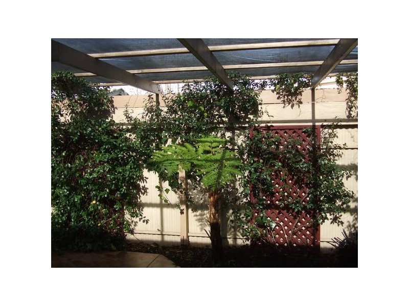 3 Liley Street, Hilton SA 5033