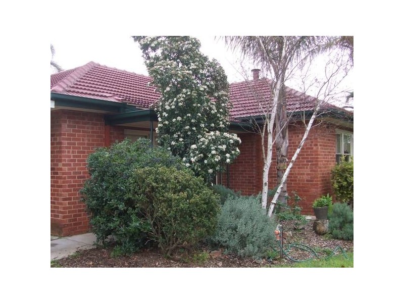 28 Shelley Ave, Netley SA 5037