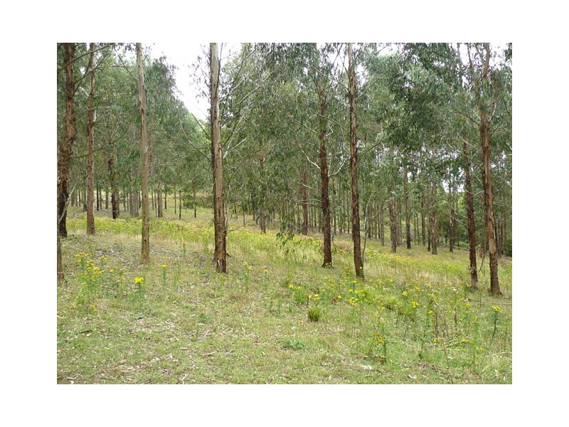 Lot 1 Whites Road, Willung South VIC 3844